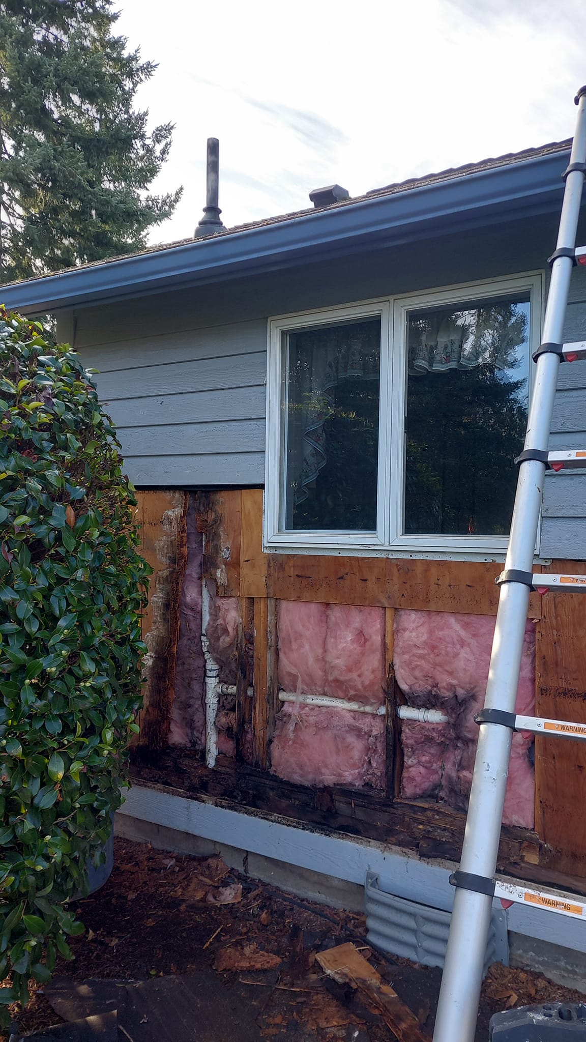 Siding before repair